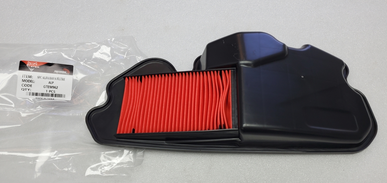HONDA SPACY ALFA HAVA FİLTRESİ OEM