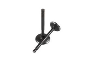 TVS RAİDER EMME-EGOZ SUBAB ORJ.