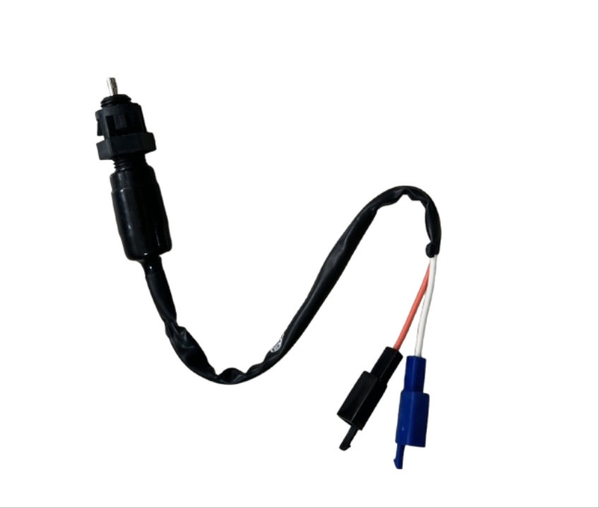 RAİDER 125 ARKA FREN MÜŞÜRÜ ORJ.